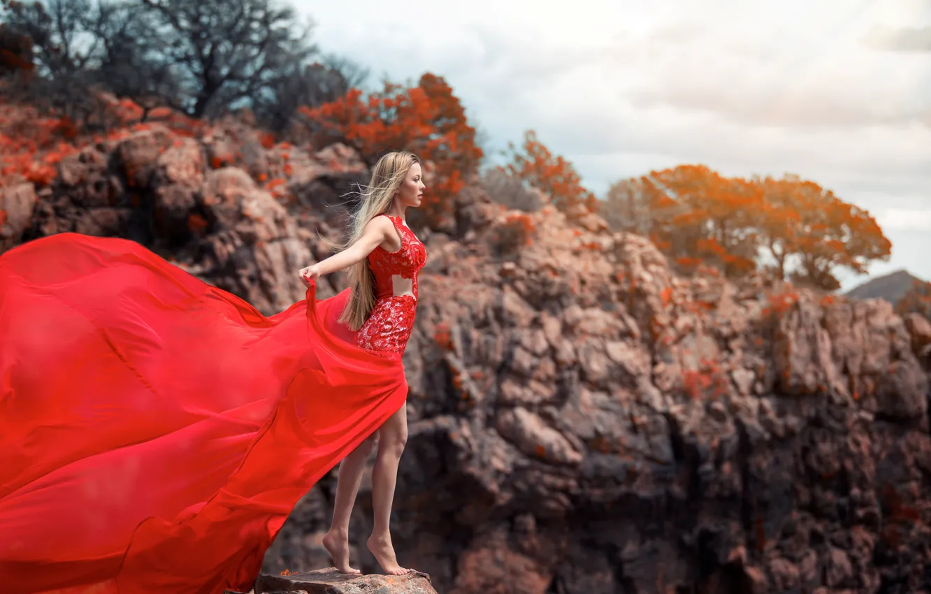 Photo wallpaper girl, pose, the wind, dress, blonde, is