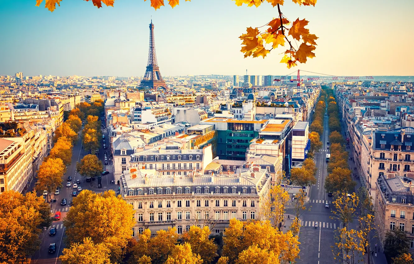 Photo wallpaper autumn, the sky, leaves, the sun, trees, branches, France, Paris
