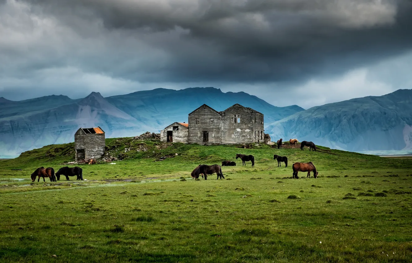 Photo wallpaper house, grass, storm, mountains, horses, farm, ruin