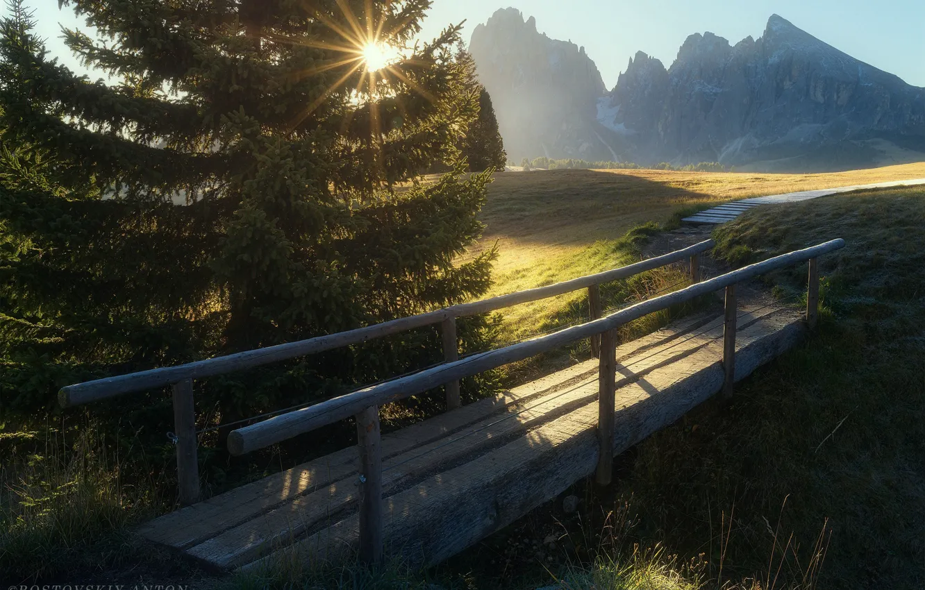 Photo wallpaper the sun, mountains, tree, Italy, the bridge, The Dolomites, Rostov Anton