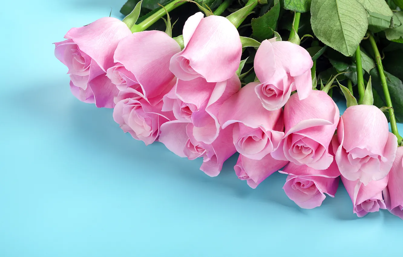 Photo wallpaper flowers, roses, bouquet, pink buds