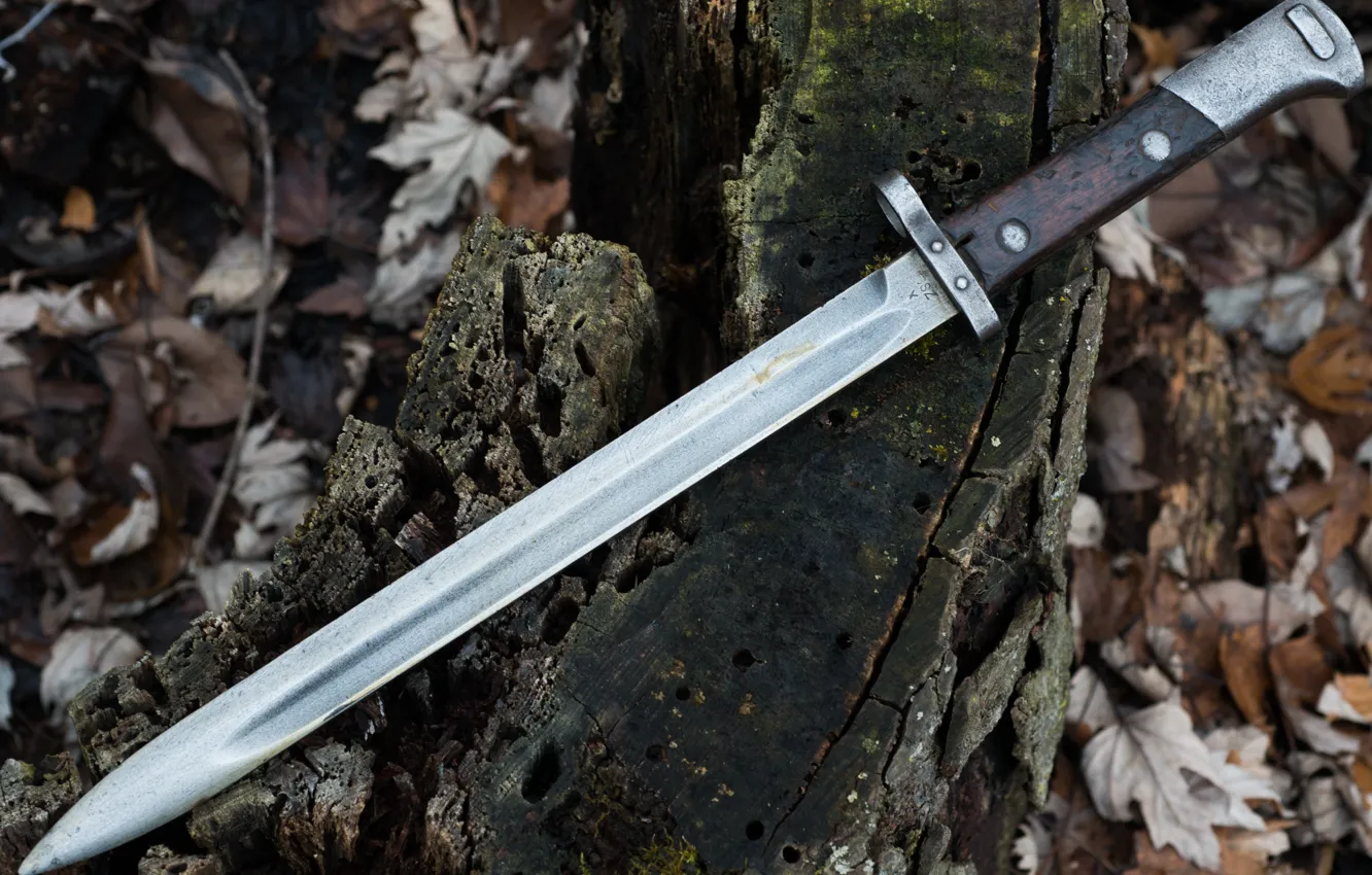 Photo wallpaper bayonet knife, Czech Bayonet, VZ-24