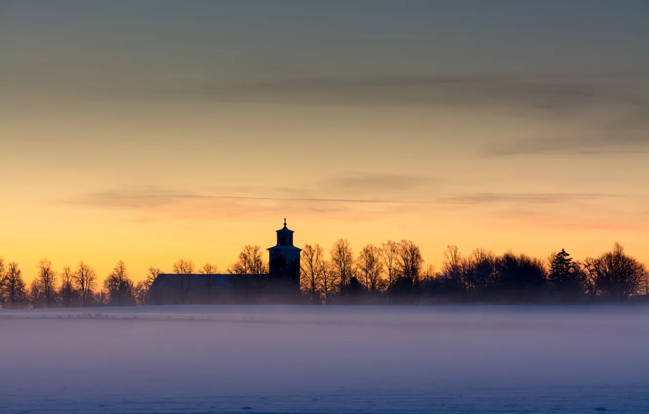 Photo wallpaper winter, field, the sky, clouds, snow, trees, fog, dawn