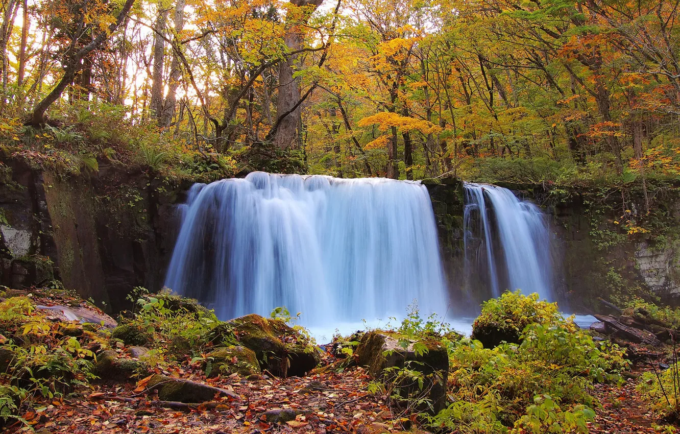 Photo wallpaper autumn, forest, waterfall, stream