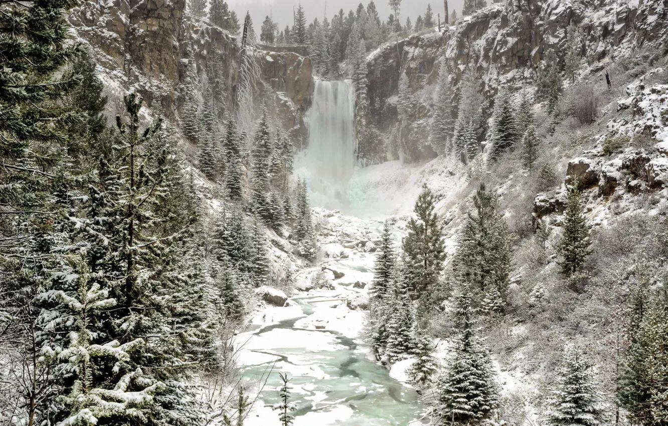 Photo wallpaper winter, forest, snow, nature, waterfall