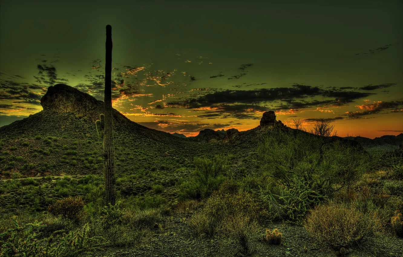 Photo wallpaper sunset, mountains, desert, HDR, cactus, Mexico