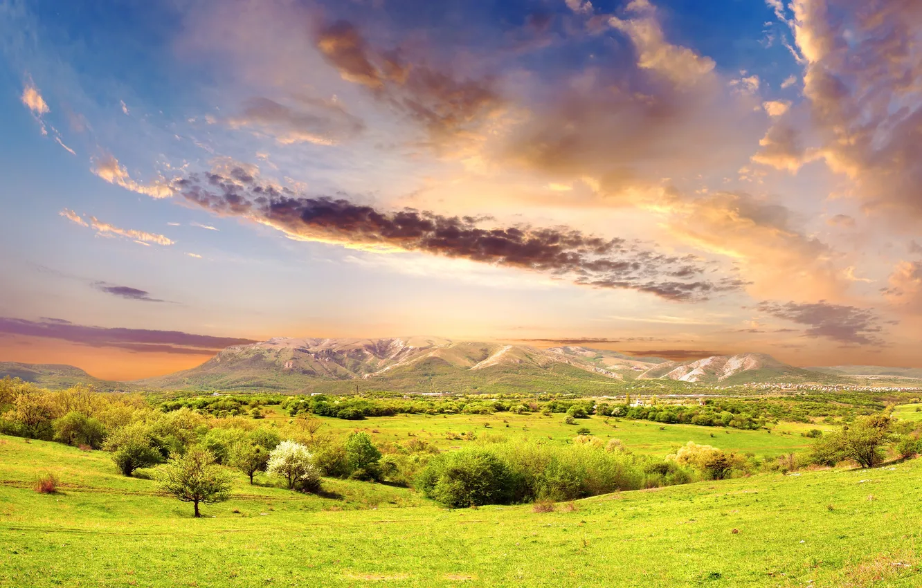 Photo wallpaper greens, the sky, grass, clouds, light, trees, landscape, mountains