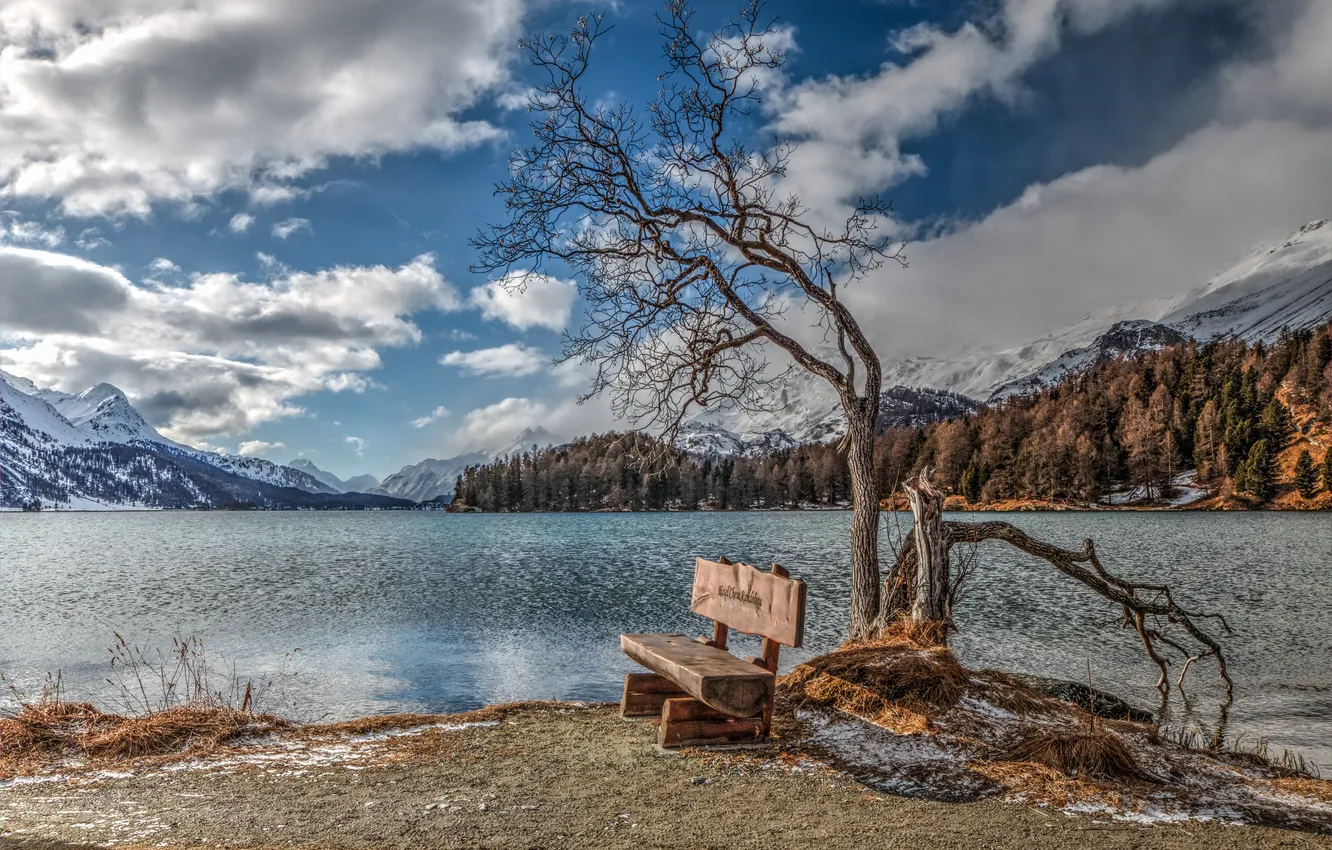 Photo wallpaper nature, lake, bench