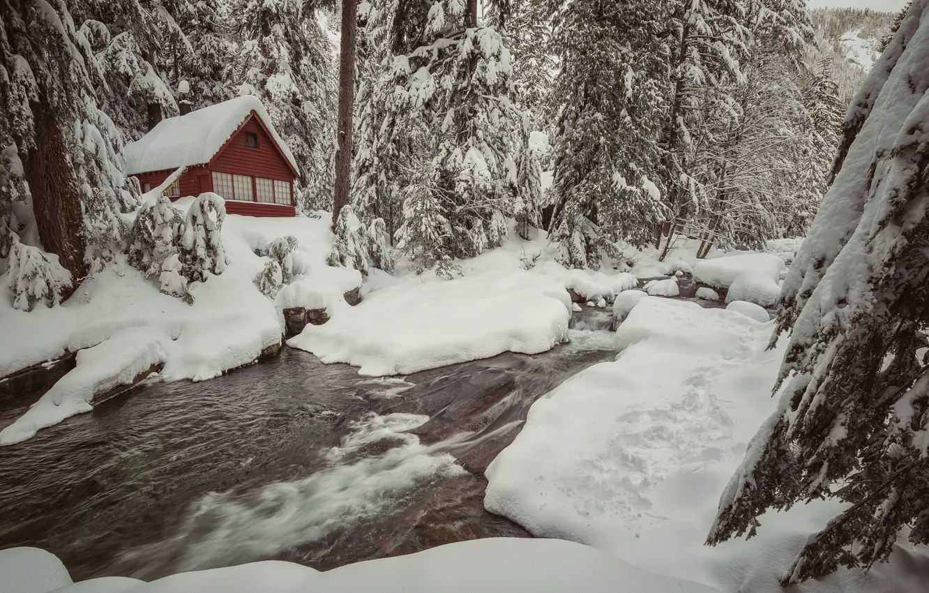 Photo wallpaper winter, forest, snow, trees, stream, home, the snow, river