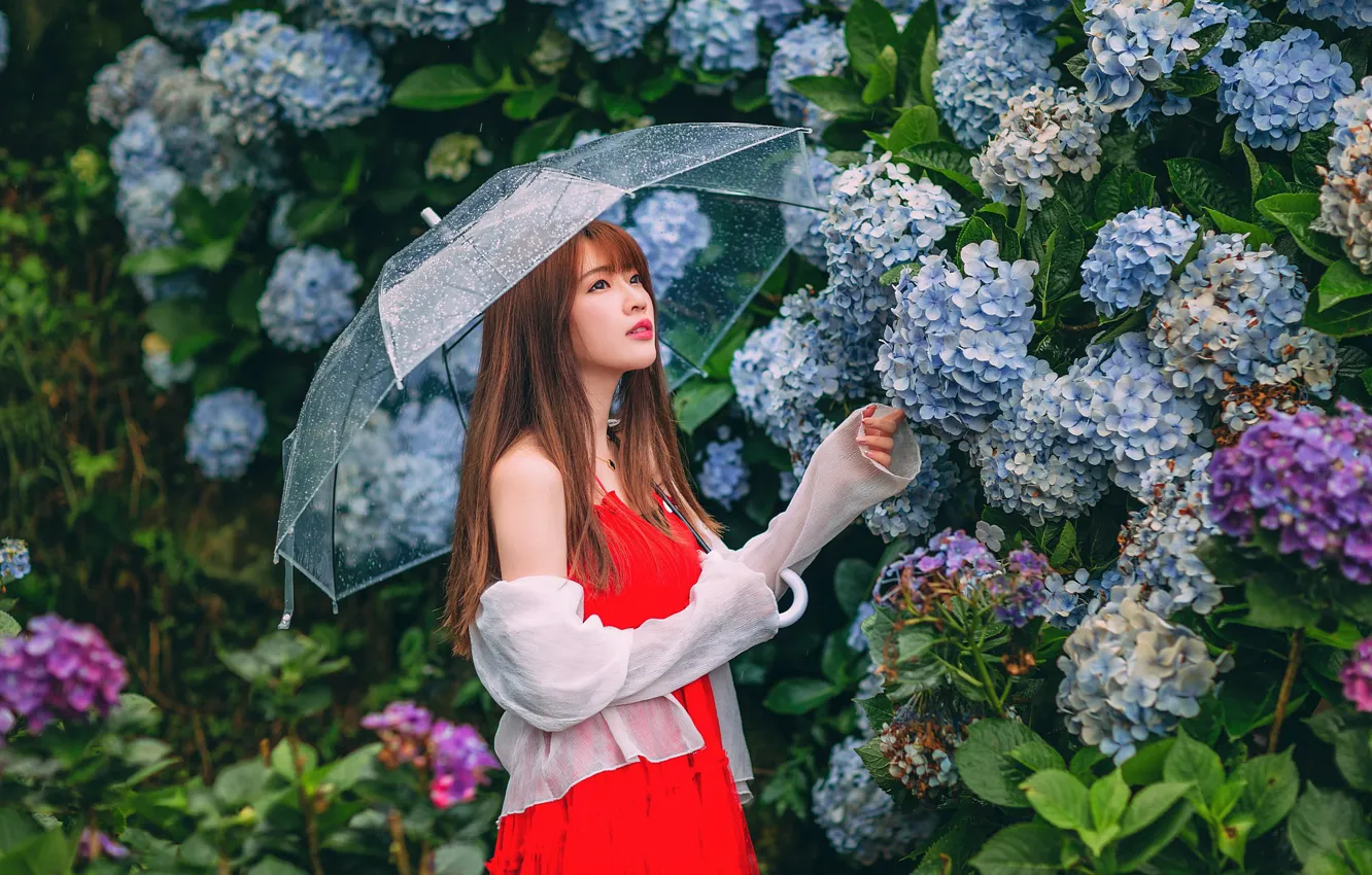 Photo wallpaper girl, flowers, umbrella, Asian, cutie