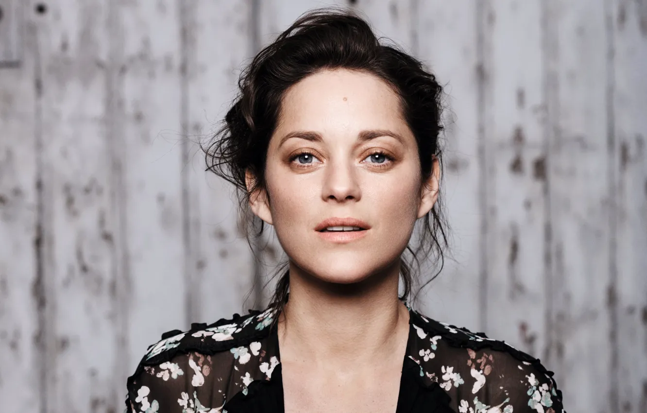 Photo wallpaper background, portrait, actress, brunette, Marion Cotillard, Marion Cotillard, Dior, Jan Welters
