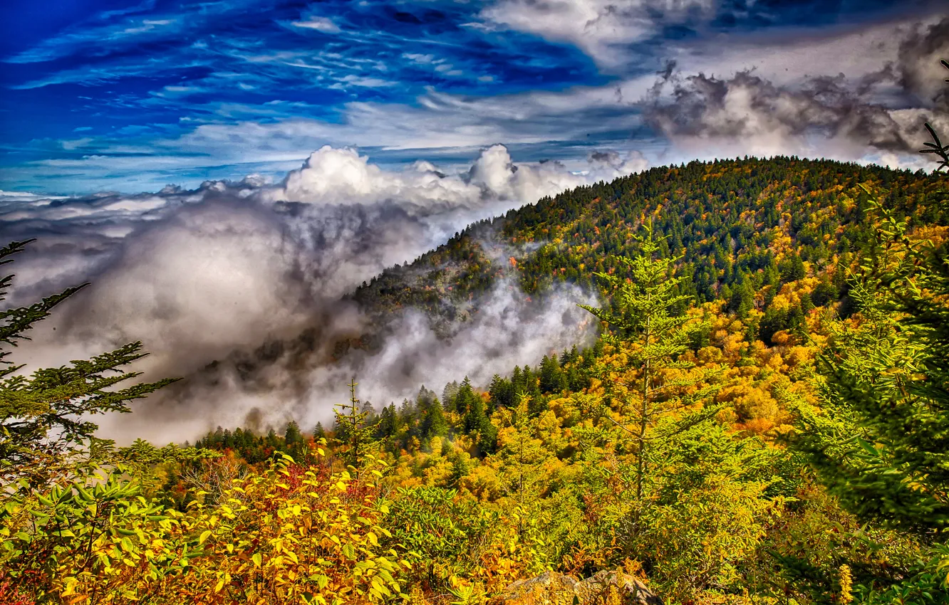 Photo wallpaper autumn, forest, the sky, clouds, trees, mountains