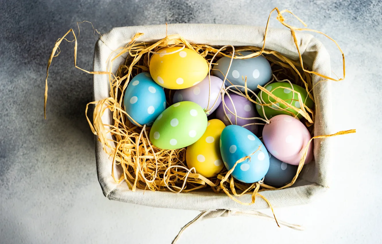 Photo wallpaper background, holiday, box, eggs, spring, Easter, tray, colorful