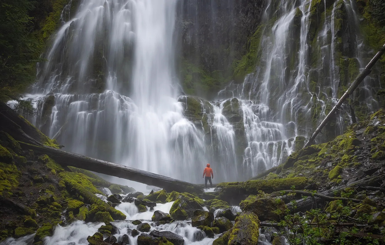 Photo wallpaper stream, stones, rocks, people, waterfall, moss, Oregon, log