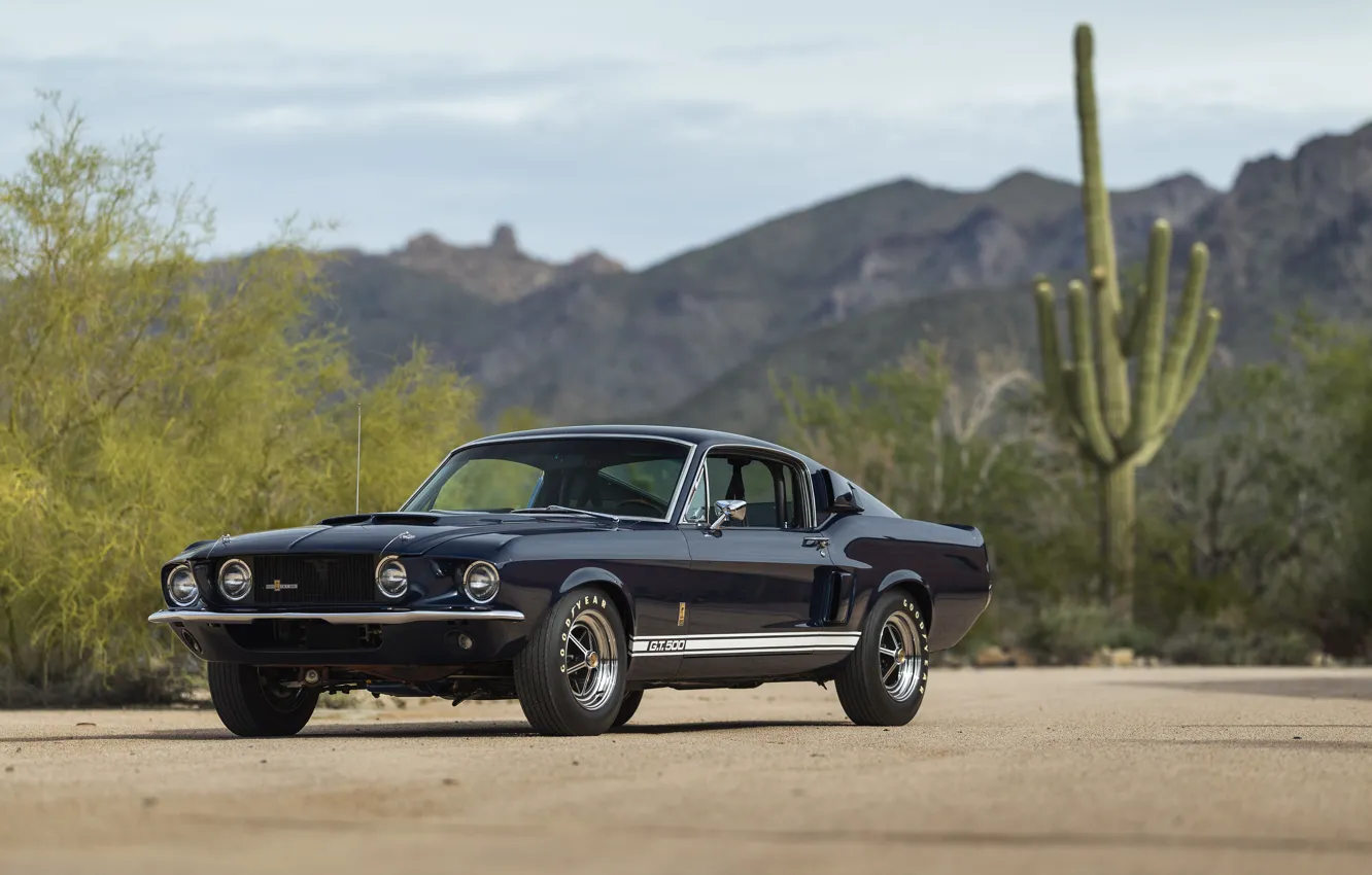 Photo wallpaper Mustang, Shelby, GT500, 1967