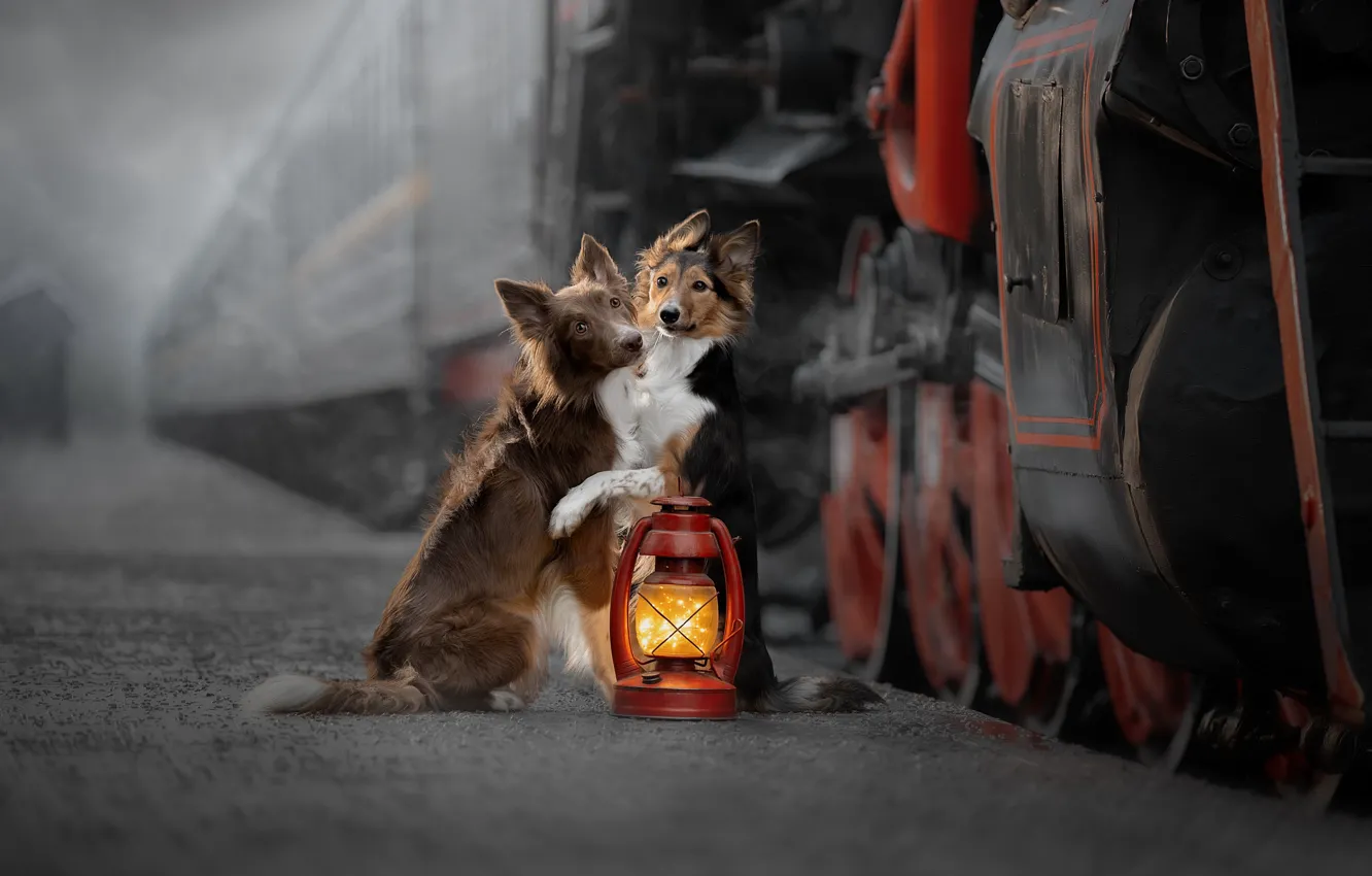 Photo wallpaper train, the engine, the platform, lantern, a couple, friends, two dogs, Svetlana Pisareva