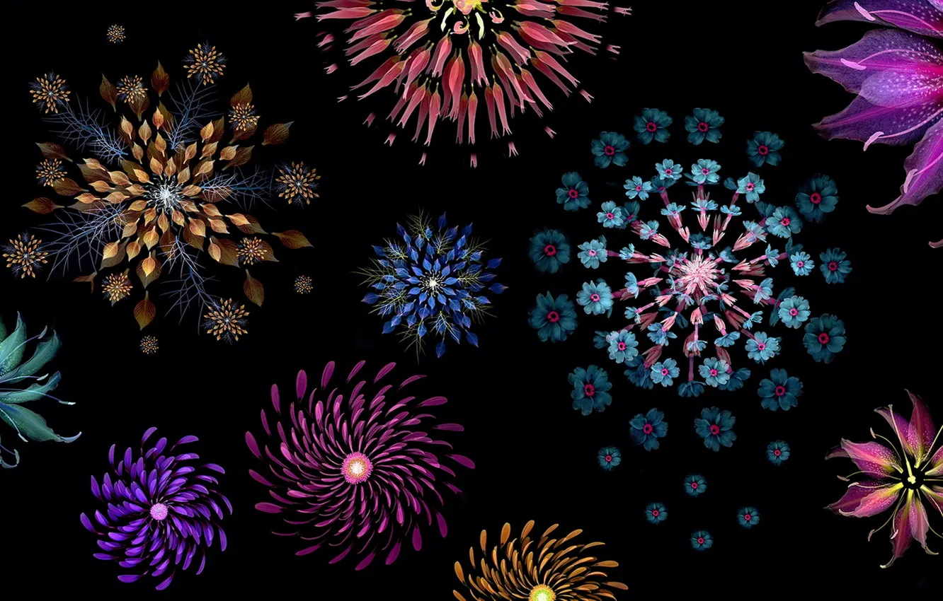 Photo wallpaper abstraction, color, form