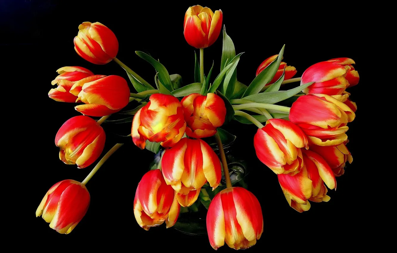 Photo wallpaper flowers, orange, yellow, red, bouquet, tulips, vase, black background
