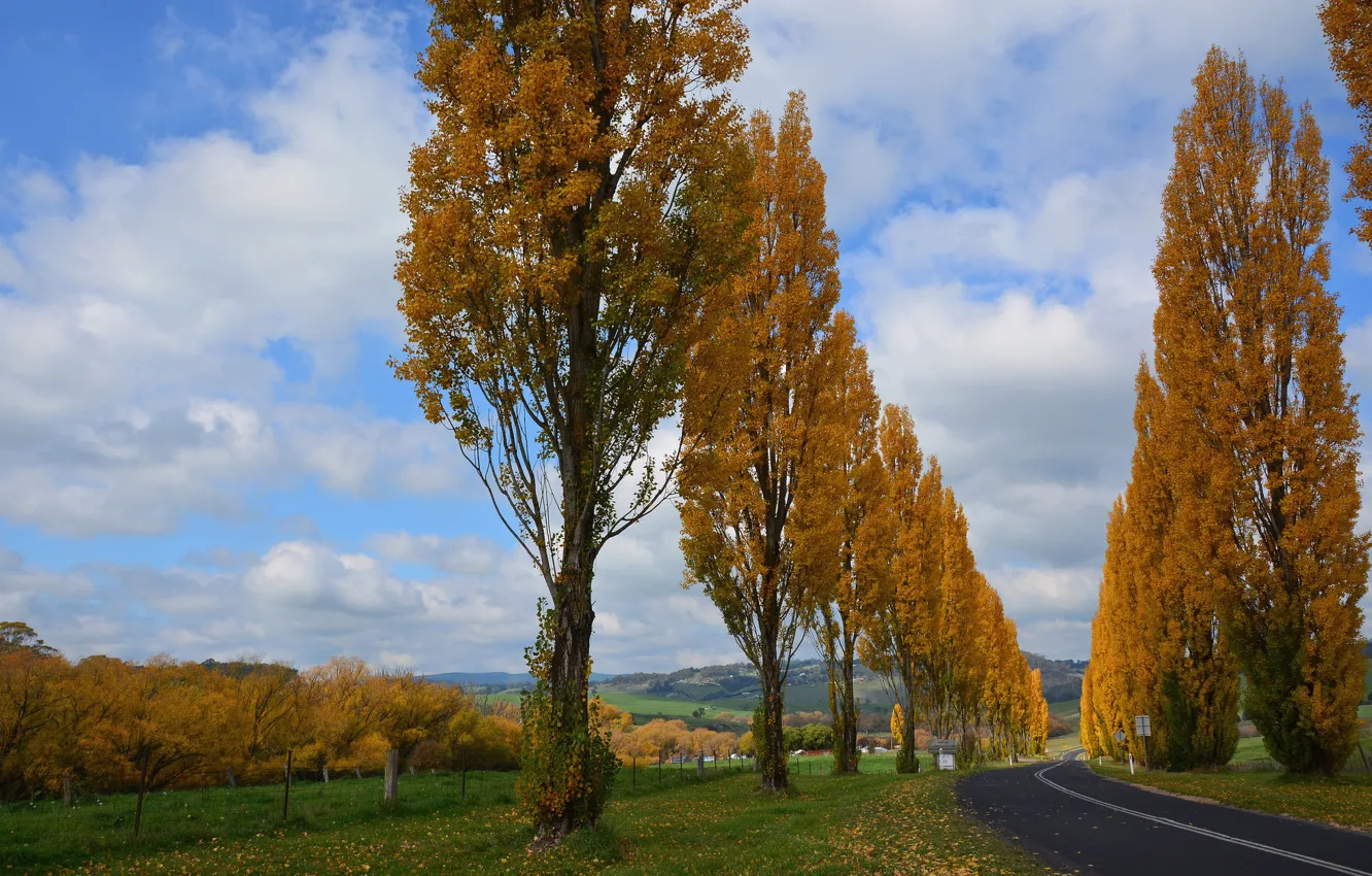 Photo wallpaper road, autumn, the sky, clouds, trees, garden