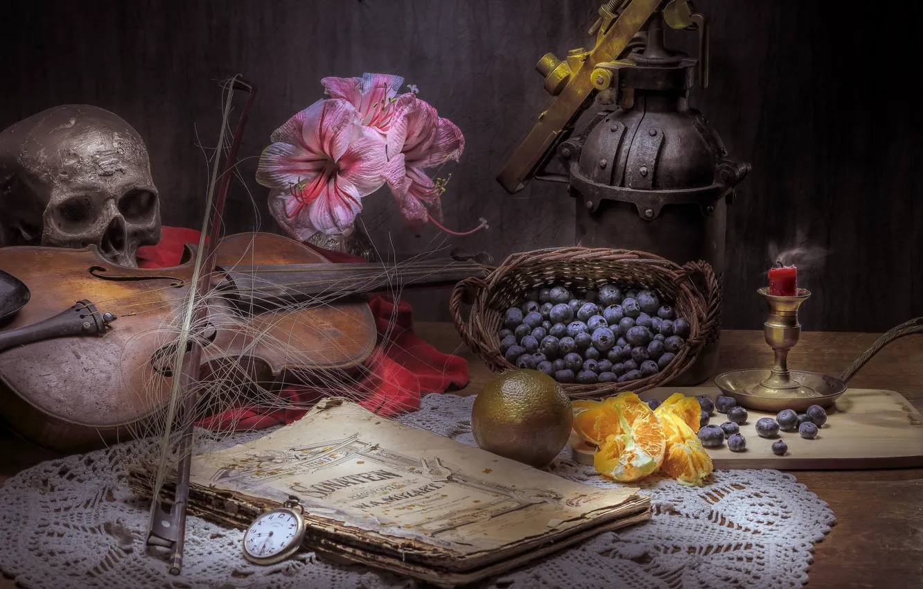 Photo wallpaper berries, violin, skull