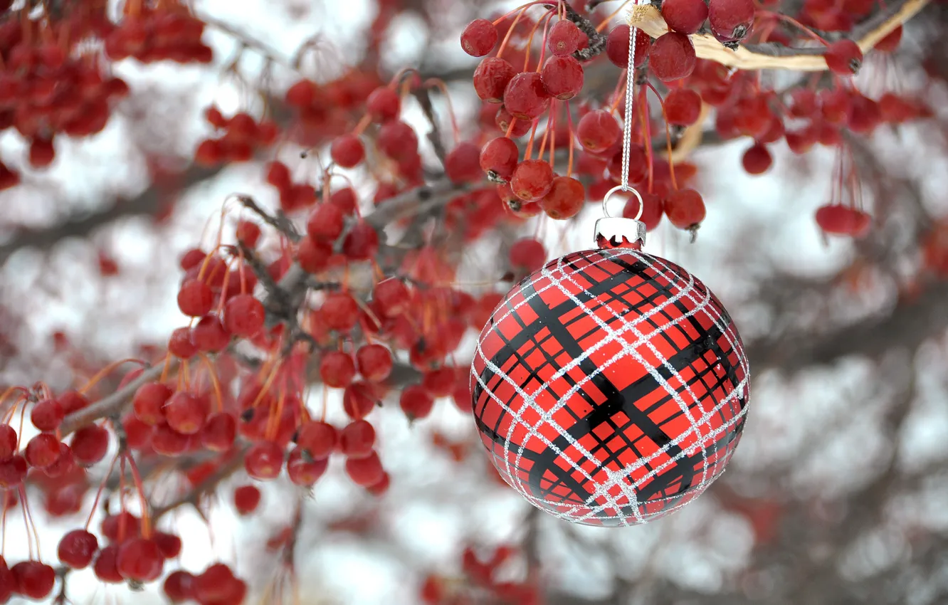 Photo wallpaper balls, decoration, branches, berries, toy, new year, Christmas