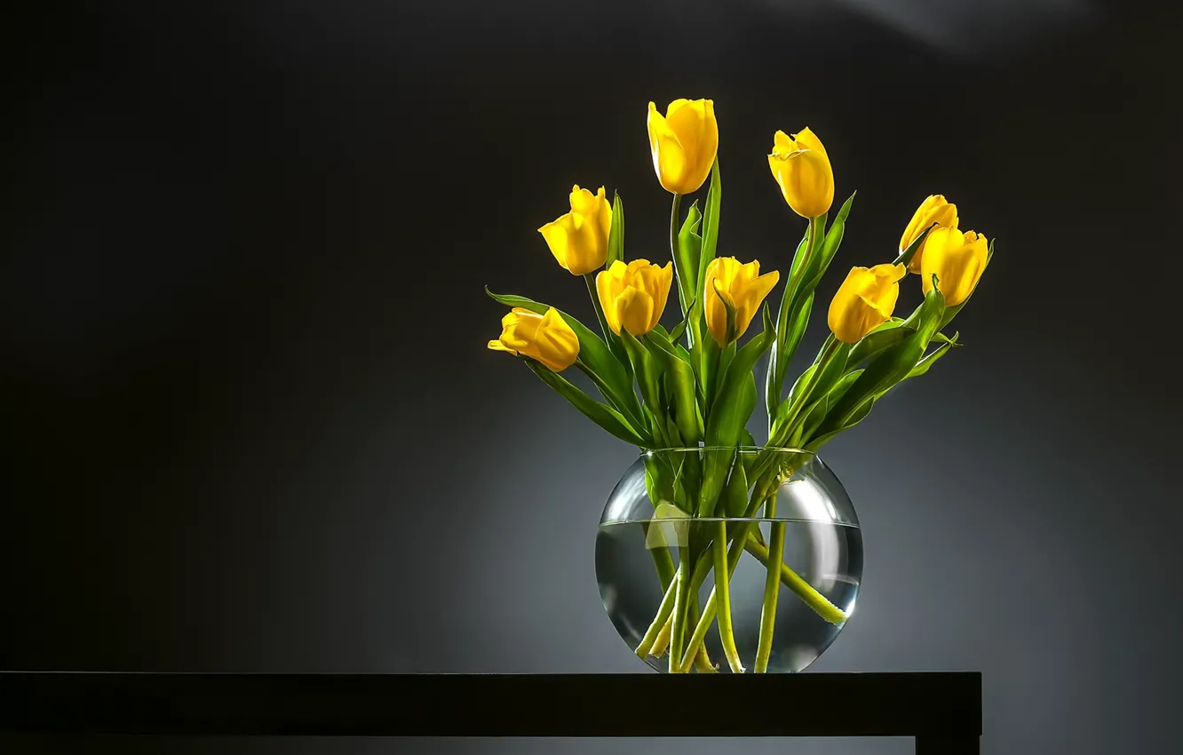 Photo wallpaper background, bouquet, tulips, vase, buds, yellow tulips
