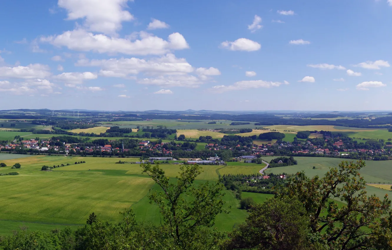 Photo wallpaper field, forest, the sky, grass, clouds, trees, landscape, nature