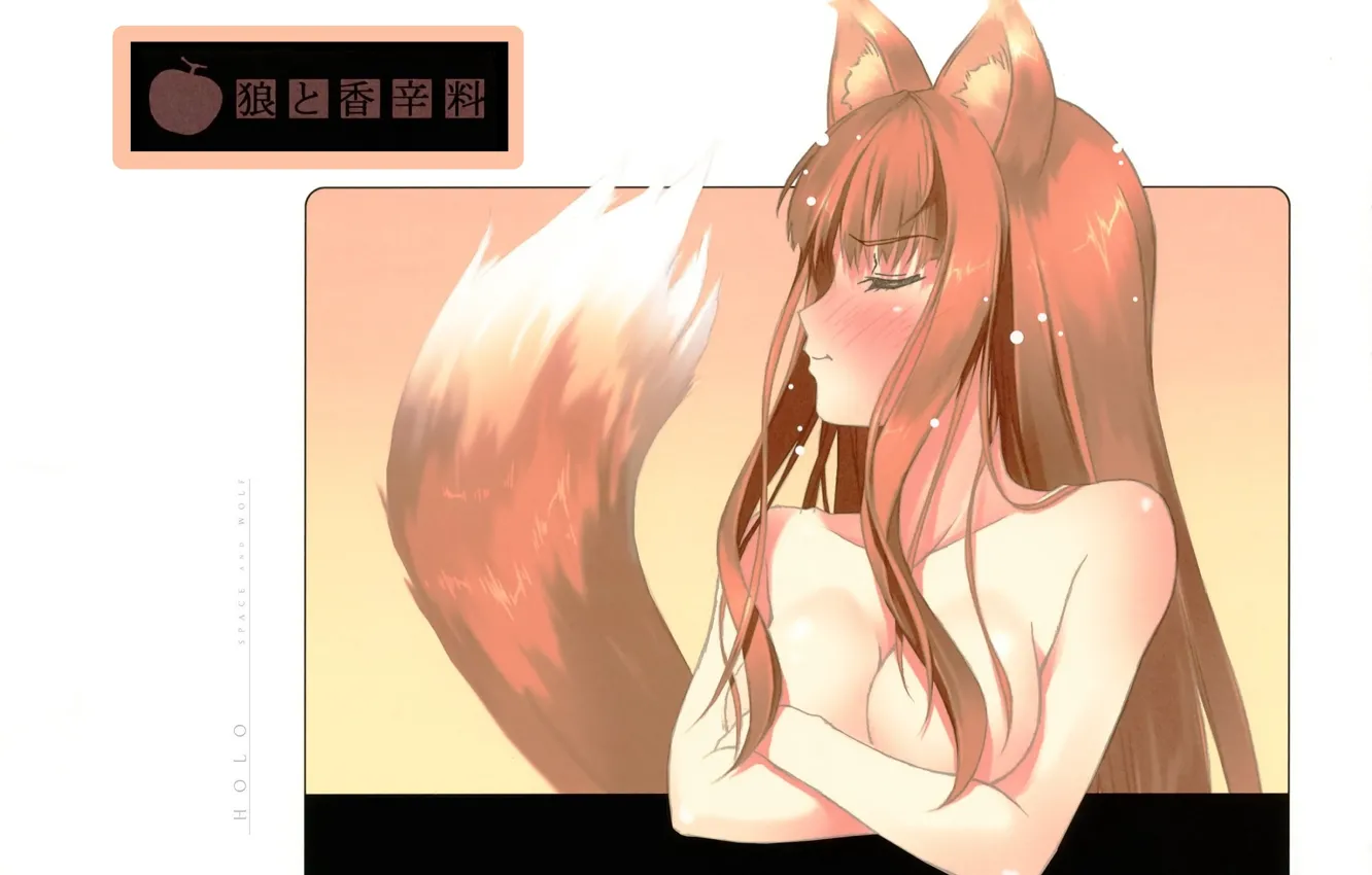 Photo wallpaper tail, blush, ears, closed eyes, embarrassment, Spice and Wolf, Holo, Spice and wolf