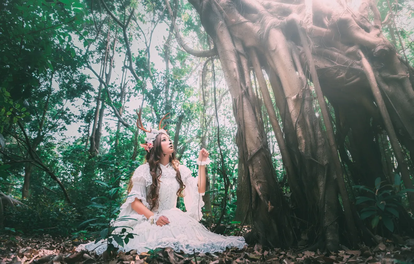 Photo wallpaper forest, girl, tree, dress, horns, Asian