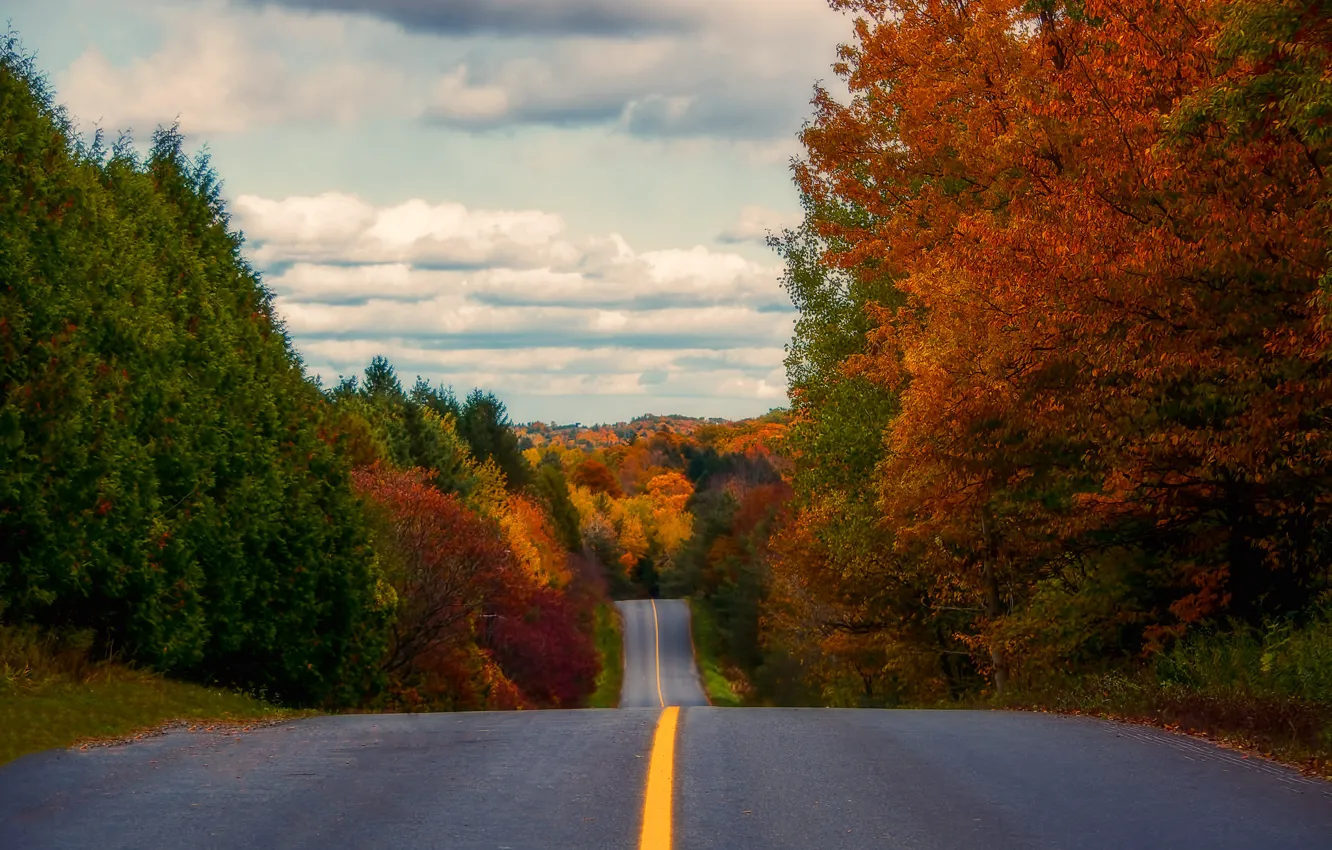 Photo wallpaper road, autumn, forest, the sky, clouds, trees