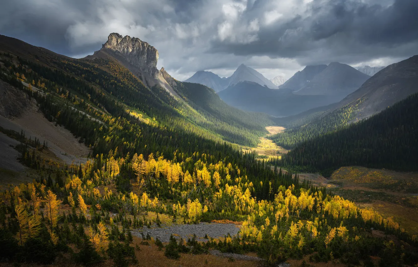 Photo wallpaper autumn, forest, clouds, mountains, fog, slope, haze