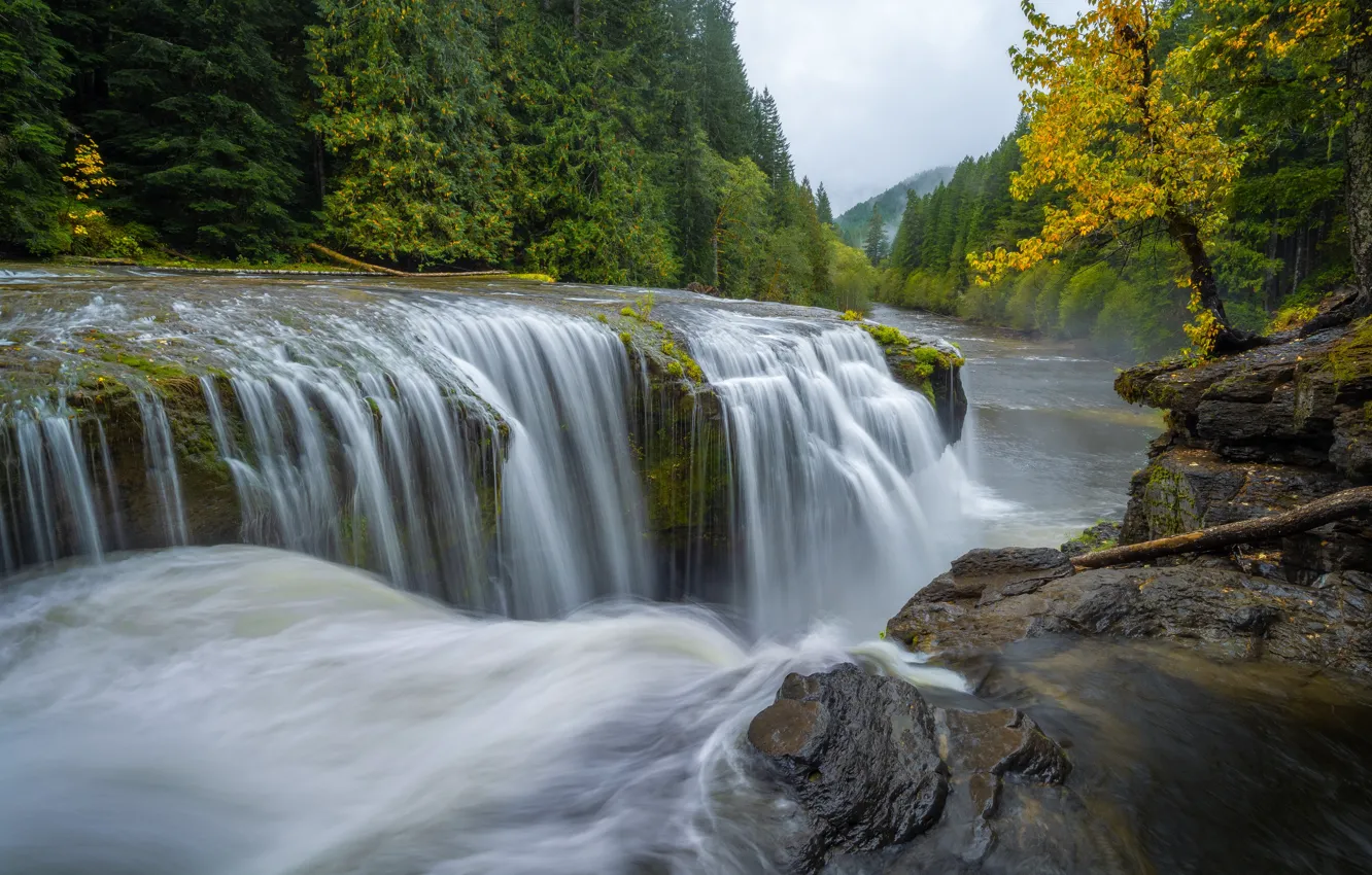 Photo wallpaper autumn, forest, river, waterfall, cascade, Lower Lewis River Falls, Lewis River, Gifford Pinchot National Forest