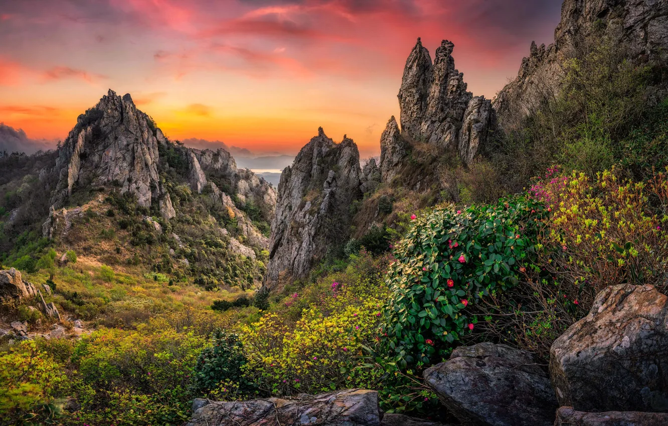 Photo wallpaper the sky, flowers, mountains, stones, rocks, the bushes