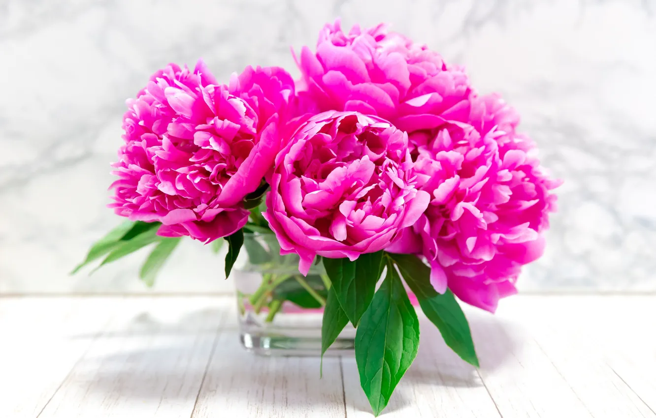 Photo wallpaper flowers, Board, bouquet, vase, pink, light background, peonies, peony