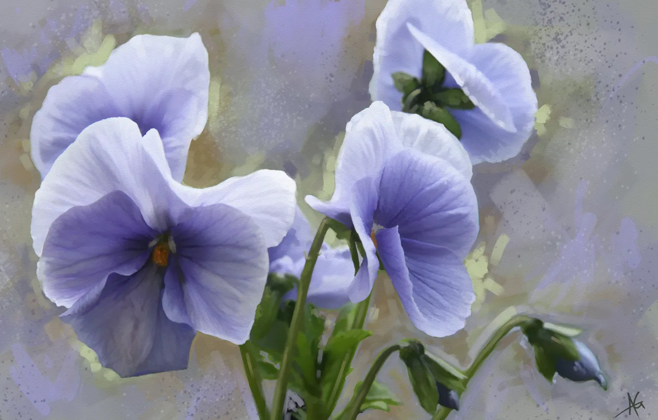 Photo wallpaper flowers, Pansy, viola