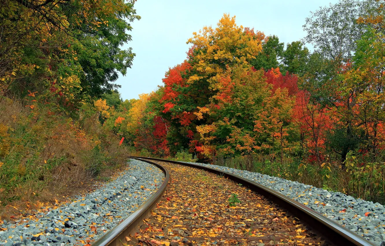 Photo wallpaper autumn, landscape, railroad