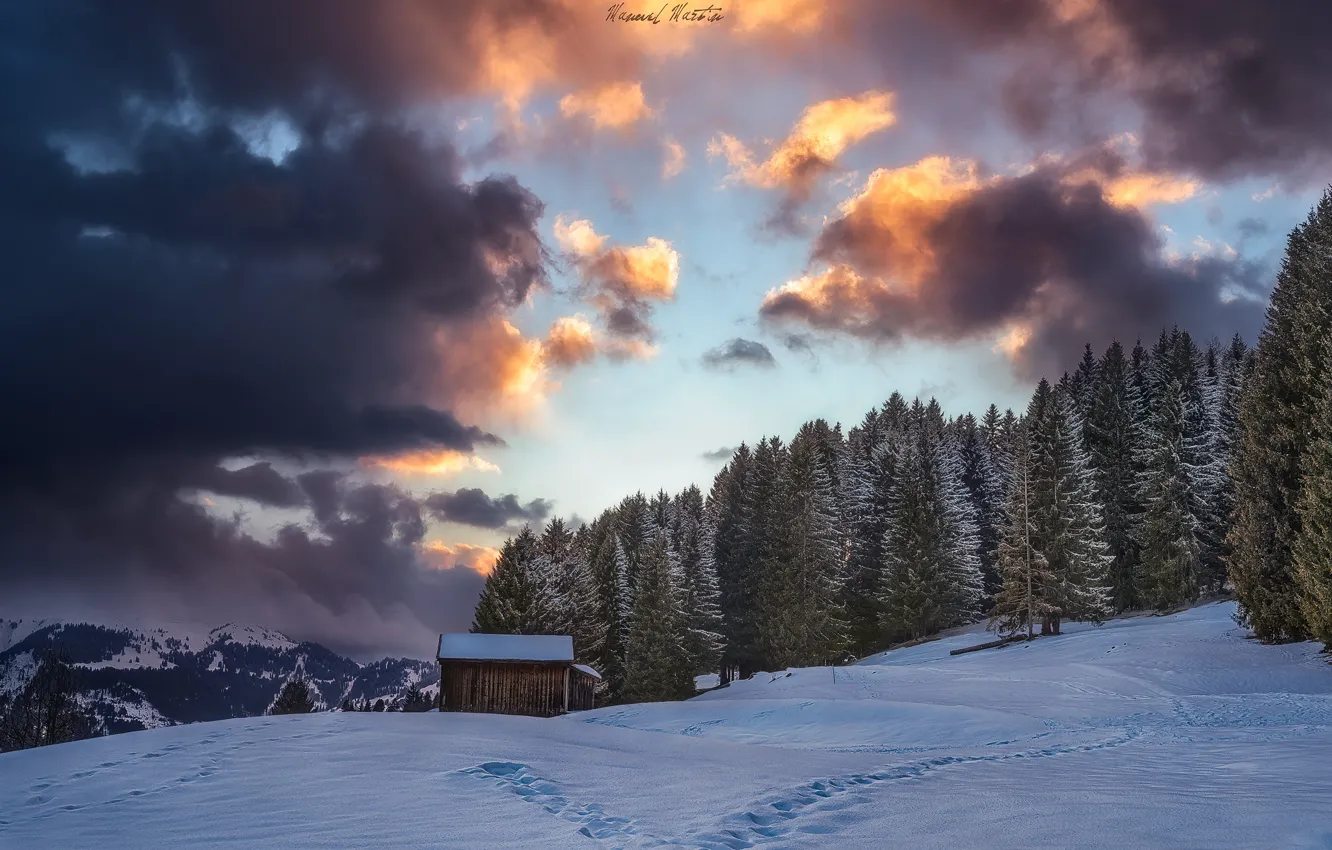 Photo wallpaper winter, forest, the sky, clouds, snow, mountains, Alps, house