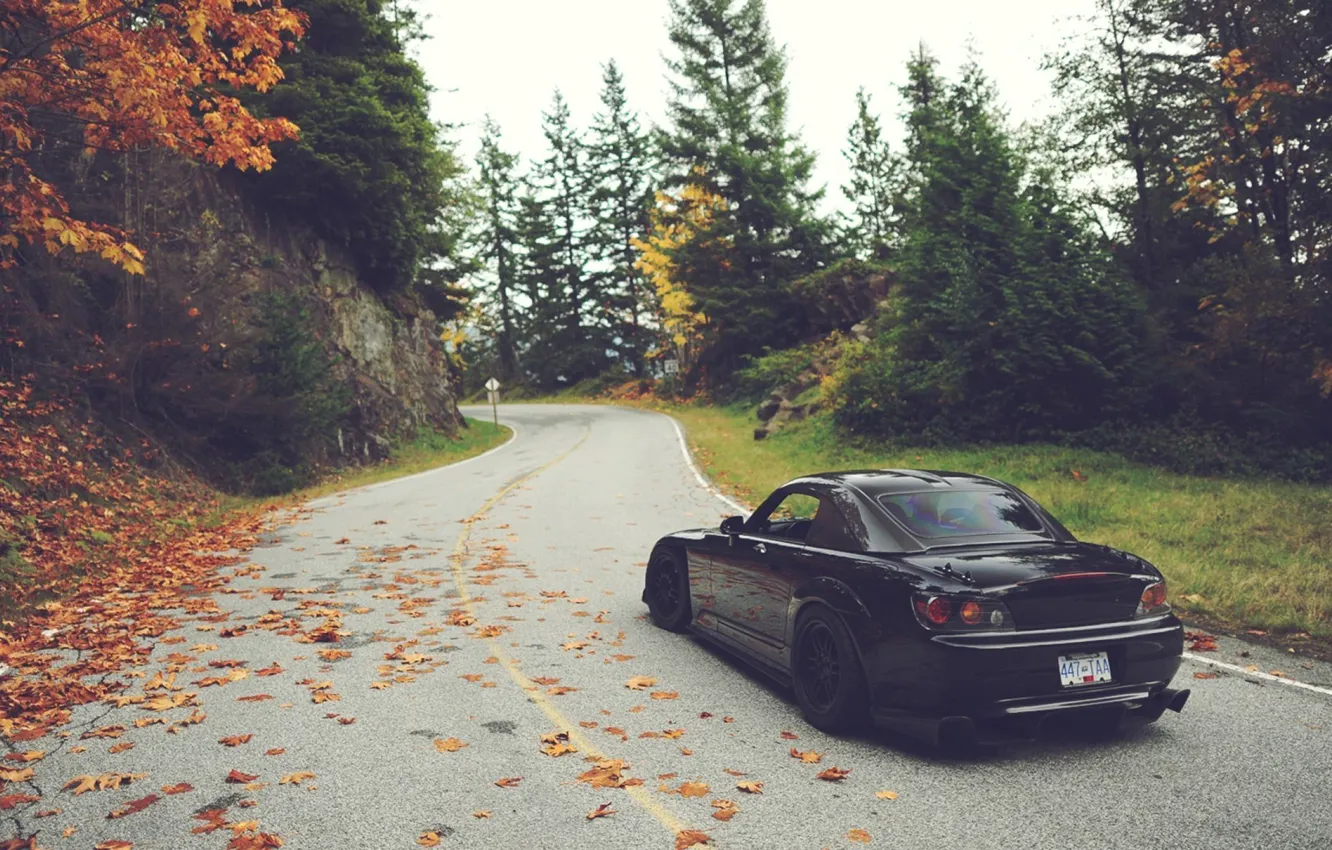 Photo wallpaper road, autumn, leaves, trees, Honda, S2000