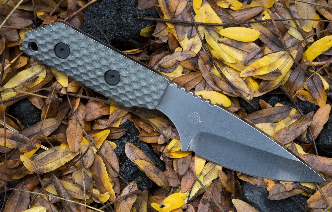 Photo wallpaper leaves, knife, edged weapons