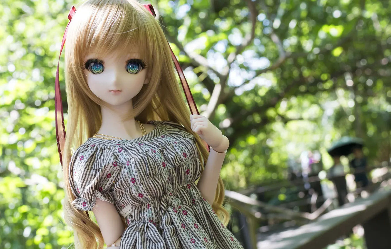 Photo wallpaper girl, hair, doll