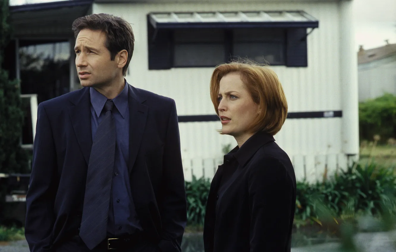 Photo wallpaper Fox, the series, The X-Files, Classified material, Dana, Scully, Mulder