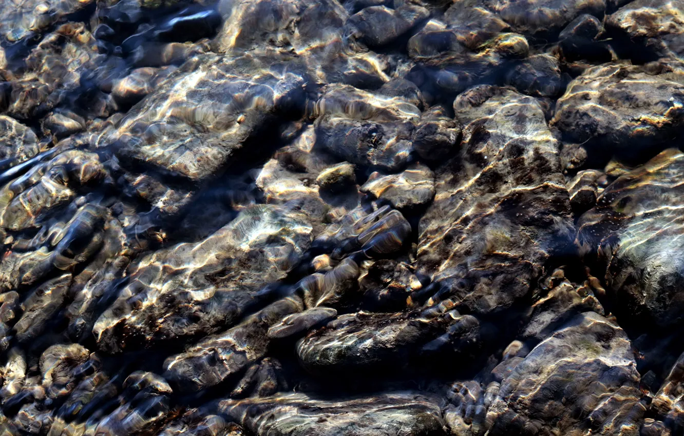 Photo wallpaper water, transparency, light, pebbles, glare, river, stones, grey