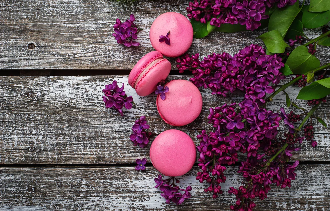 Photo wallpaper wood, pink, flowers, lilac, macaroons, macaron, lilac, macaroon