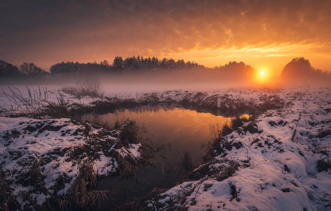 Photo wallpaper Snow, Zima, trees, River