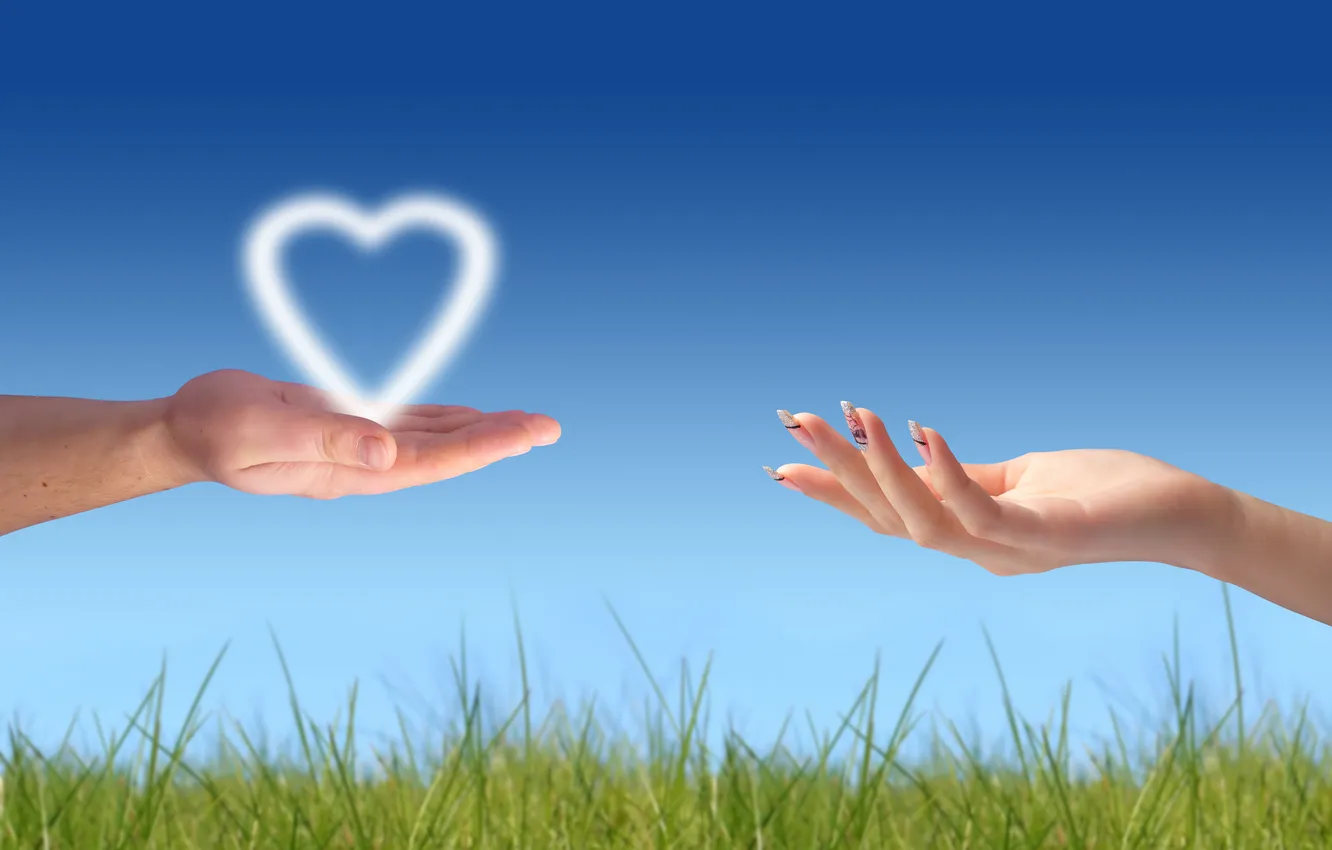 Photo wallpaper girl, trees, heart