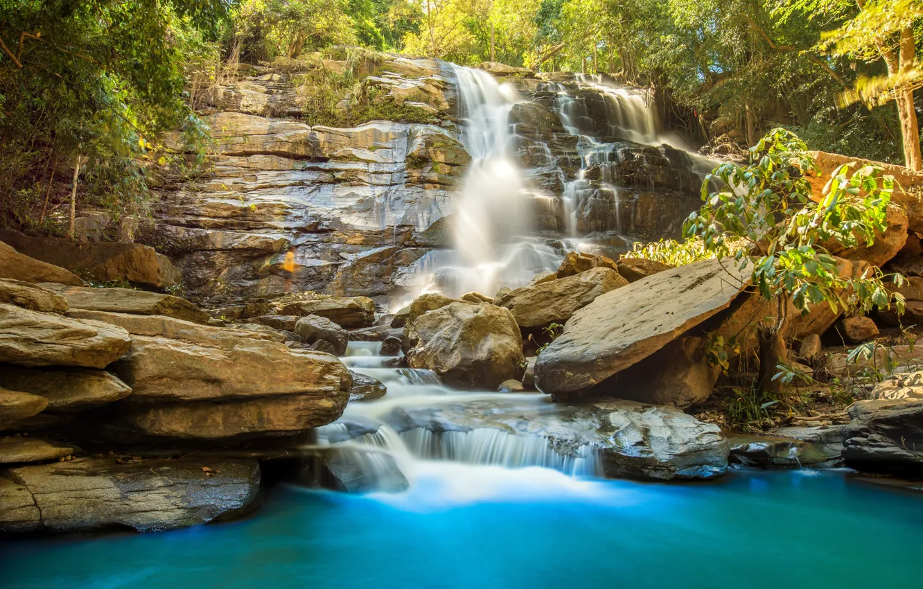 Photo wallpaper forest, river, waterfall, forest, river, landscape, jungle, beautiful