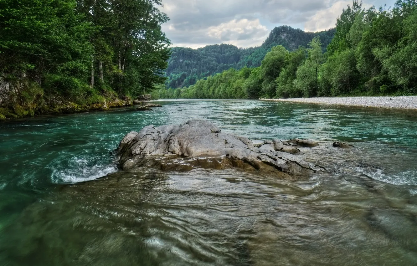 Photo wallpaper Trees, River, Austria, Stones, Nature, Austria, River, Trees