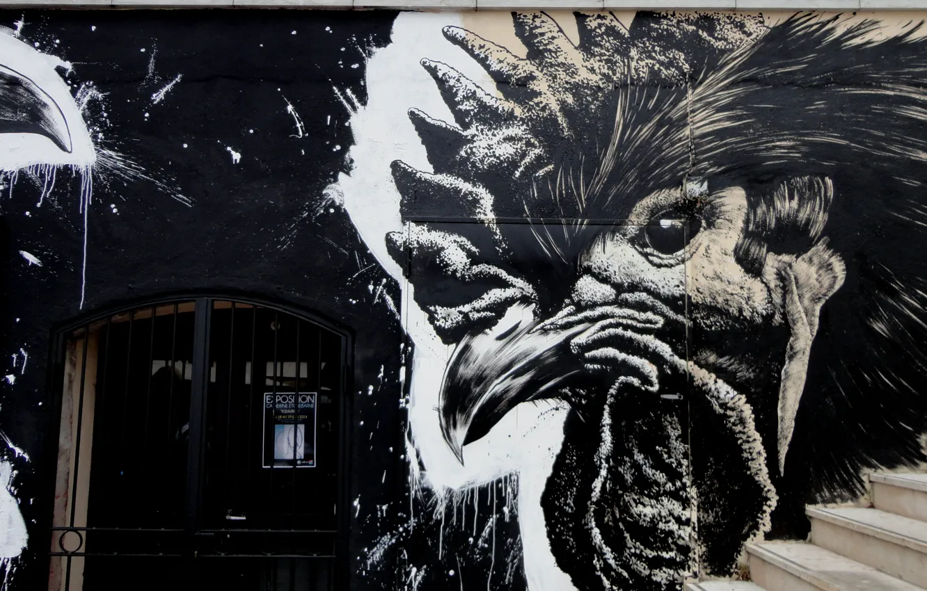 Photo wallpaper France, Graffiti, Cock, Cock, Seth, Black-Whit