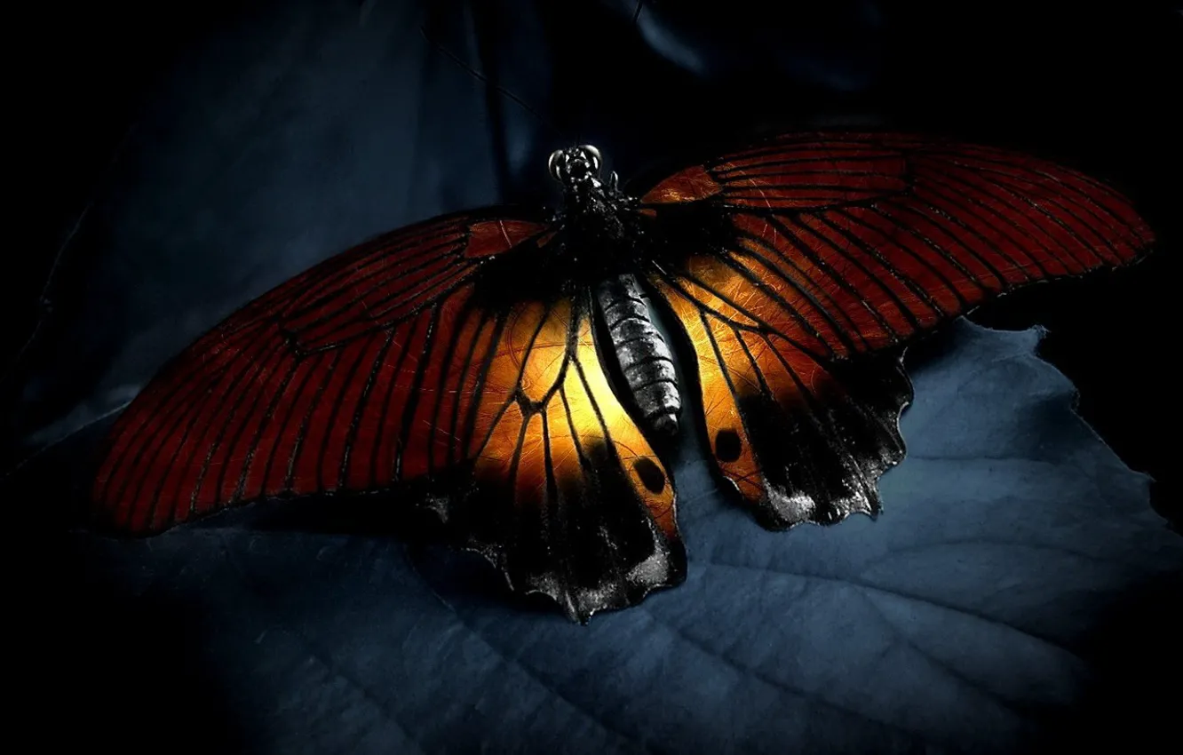Photo wallpaper light, sheet, Butterfly