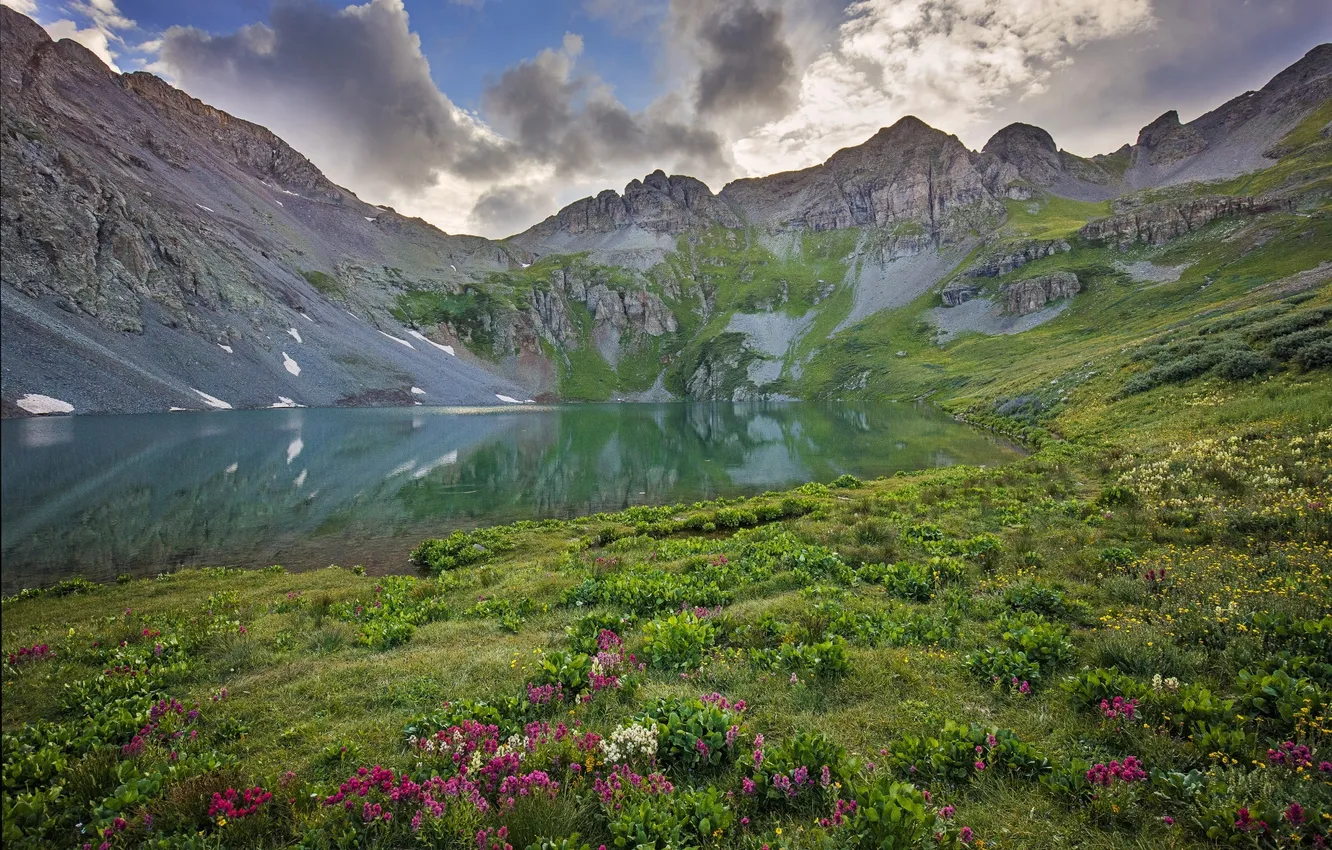 Photo wallpaper flowers, mountains, nature, lake, reflection